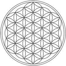 rodexion's profile picture. 