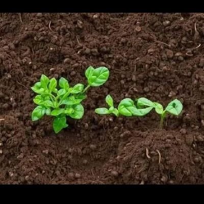 A2030Hem's profile picture. أَلَمۡ تَرَ إِلَى ٱلَّذِينَ بَدَّلُواْ نِعۡمَتَ ٱللَّهِ كُفۡرٗا وَأَحَلُّواْ قَوۡمَهُمۡ دَارَ ٱلۡبَوَارِ (28) جَهَنَّمَ يَصۡلَوۡنَهَاۖ وَبِئۡسَ ٱلۡقَرَارُ 🌹🌹