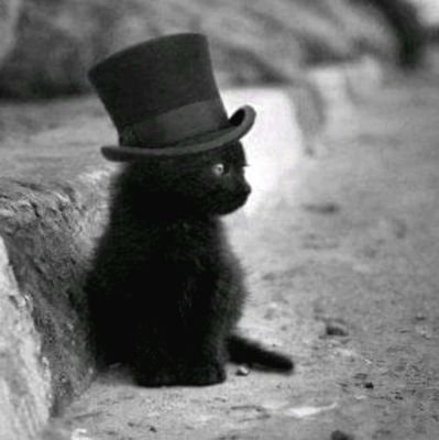 Hector89123Sand's profile picture. I love God, my family, and my country! 🇺🇸
Don't waste your time or mine, I don't reply to DM's. 🚫