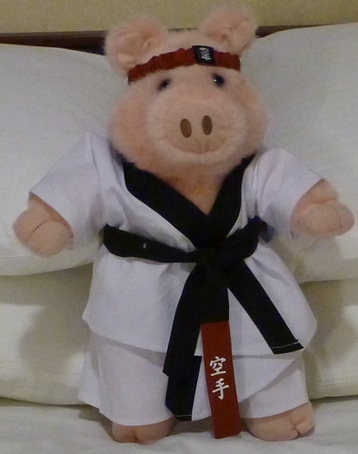 TruckingNinja's profile picture. 