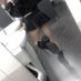 Peachy (@misspx444) Twitter profile photo Peachy (@misspx444) Twitter profile photo