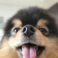 y (@sho__0608) Twitter profile photo