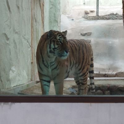 cxXdIgVfTi21769's profile picture. 