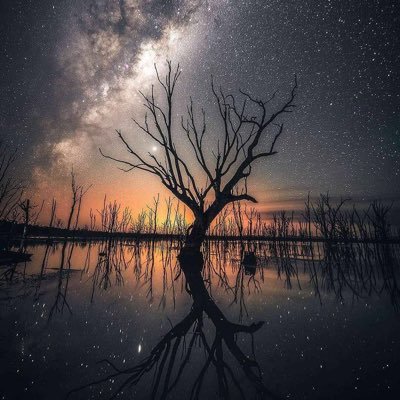 ZackAddictionz's profile picture. 