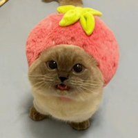 Tarasta_ (@tarasta_twitch) 's Twitter Profile Photo Tarasta_ (@tarasta_twitch) 's Twitter Profile Photo