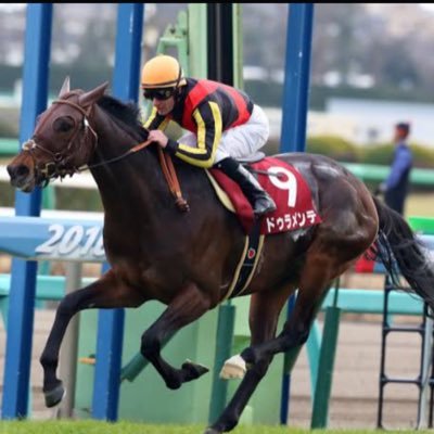 nQ5vzVvWpP93742's profile picture. 競馬垢