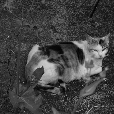 llさんのプロフィール画像