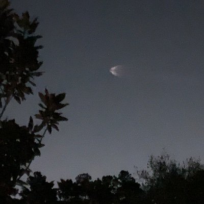 0jTeary's profile picture. 🇺🇸🦅