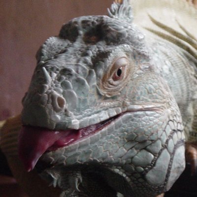 ThagUlak's profile picture. Nerd to the nth power