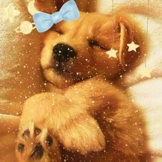 💖William✨さんのプロフィール画像