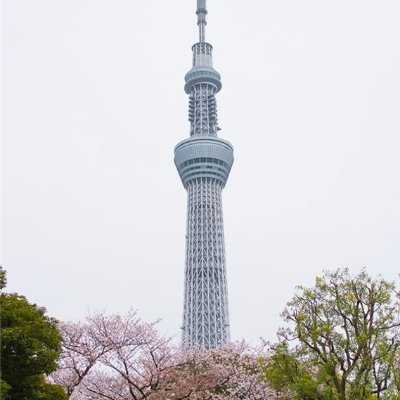 副業で収入を増やすコツを紹介中。副業初心者に役立つ情報を提供。多少ですがお金配り企画も始めました♪ 詳細はコチラから▶ https://t.co/JQdNVQJeOt
