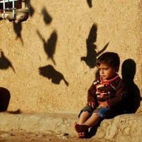 احمد محمود (غريب مُتَوَسِّمِ) (@hamrone84) 's Twitter Profile Photo