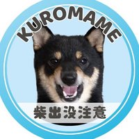 黒豆日記🐾 (@kuromame_diary) Twitter profile photo