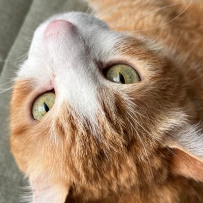 山師さんのプロフィール画像