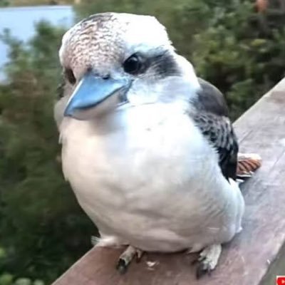 最近はガウシアンスプラッティングにハマってます。他にはUEとか色々、、、。 https://t.co/rPD6Wb9hj5