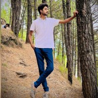 Afzaal Mughal (@afzaalmughalpml) 's Twitter Profile