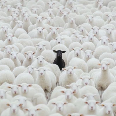 Darwinsaidit's profile picture. everything is a lie until you confirm it’s true.