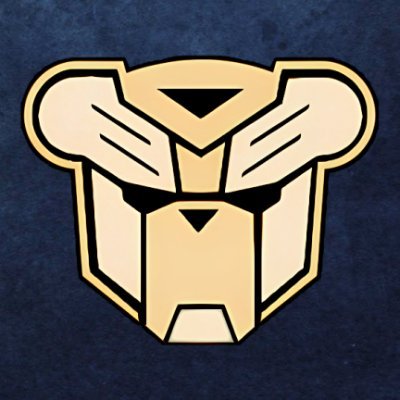 Cybears Profile