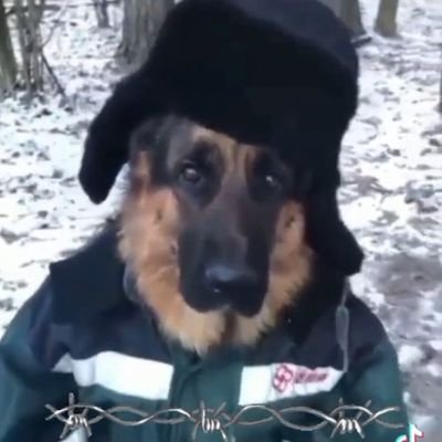 bnzzqzs's profile picture. pbyy
