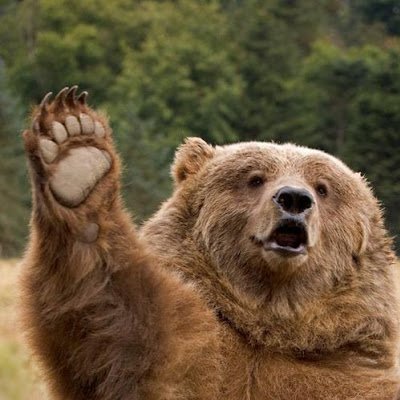 tinytable06's profile picture. 