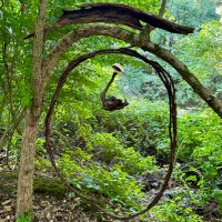 Fred Drumpf Jr. (@freddrumpf61) 's Twitter Profile