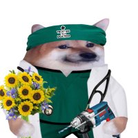 frank the 5th (@russiaisat65586) 's Twitter Profile Photo frank the 5th (@russiaisat65586) 's Twitter Profile Photo