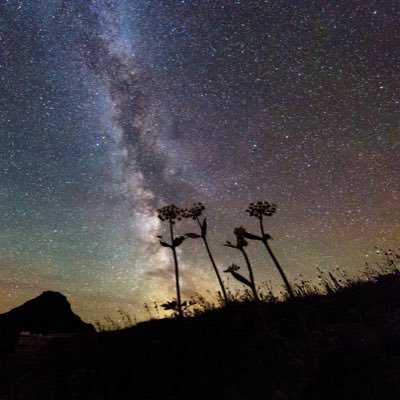 Jane_JN459's profile picture. 