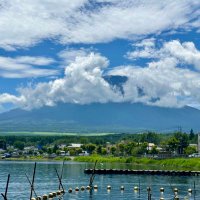 长期主义 (@leejet8) 's Twitter Profile