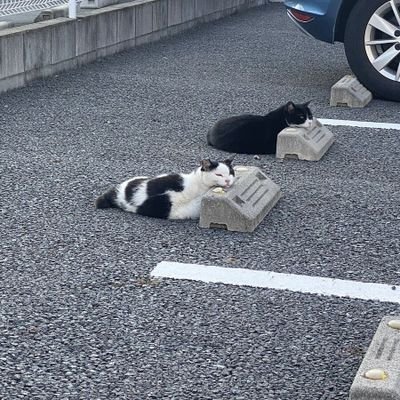 20⬆️
선량한구독계입니다믿어주세요