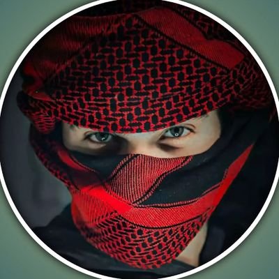 Amirkhan80490's profile picture. EEUCVXLN