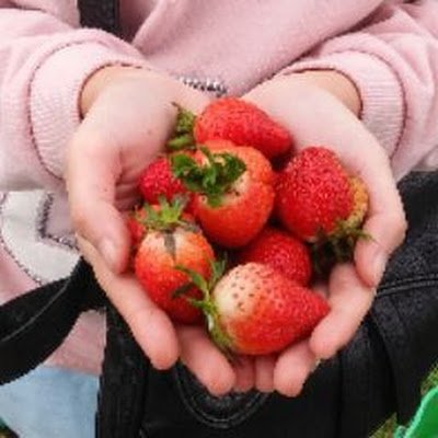 LuluArifa44407's profile picture. 