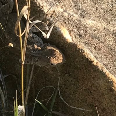 MyWorldOurTime's profile picture. WE, the people