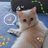 懒猫.（互fo❤️） avatar