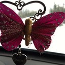 robin linn - @robinlnn - Twitter