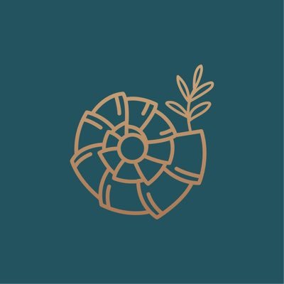 لتكن ورود النهام، رسالتك المعطرة إلى من تحب Let Al Nham Flowers be your scented message to the one you love explore Alnham By Alnham website