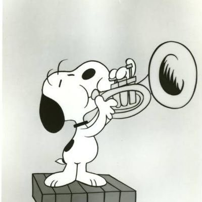 dokudamin's profile picture. 未接種です！気の合う仲間を増やしたい！
ぬるりと生きてます。メタルが好き！トランペットやってます🎺