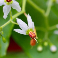 まる𓀦𓅔 (@kh3bcm) Twitter profile photo