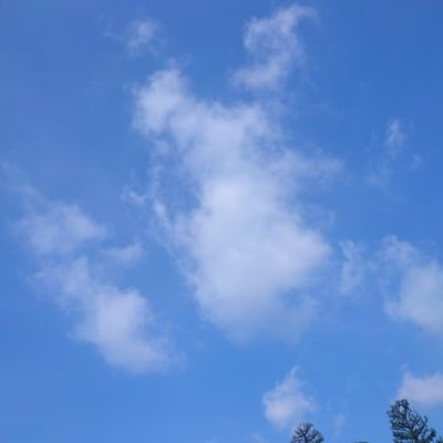 さとし😪懸賞垢🌈さんのプロフィール画像