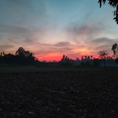 Bulu67's profile picture. Loading...........!