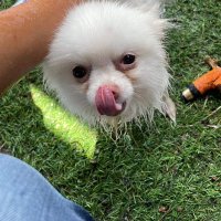บักปึก 🐰🦭💕🌷🌹 (@puttachainuii) 's Twitter Profile Photo บักปึก 🐰🦭💕🌷🌹 (@puttachainuii) 's Twitter Profile Photo