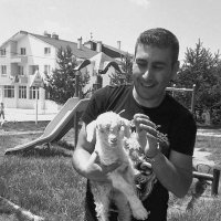 Süleyman Dişli (@slmndsl) 's Twitter Profile