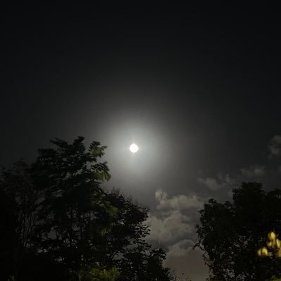 lyn_san_'s profile picture. 