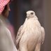 النادر (@jawhar9489121) Twitter profile photo النادر (@jawhar9489121) Twitter profile photo