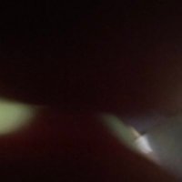 deinemutter (@ma_wig_lu) Twitter profile photo