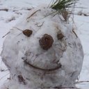 Bo Sanders - @BoTweetster - Twitter