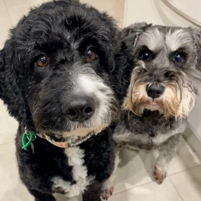 thewordinsport's profile picture. Sport's views, without stating the obvious