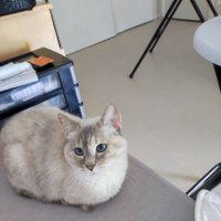 Andre (@andre64584659) 's Twitter Profile