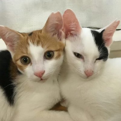 つきみ🌙さんのプロフィール画像