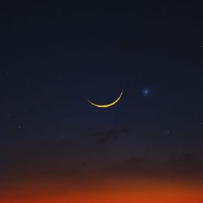 AdityaMuliatama's profile picture. hunting @LifeFormsNFT