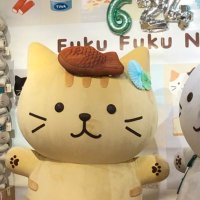 きゃべつ (@eaxfkc6iqkumdzz) 's Twitter Profile